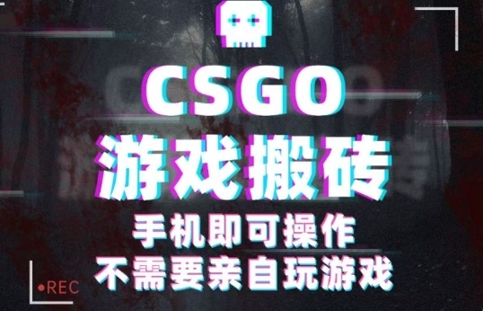 CSGO游戏挂G捡漏，单日扫货5张+，年底小高峰上车可吃肉，手机即可操作，兼职副业创业网创【揭秘】-黑马项目网