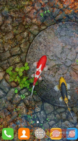 Water Garden Live Wallpaper 锦鲤3D动态壁纸2.05专业版-黑马项目网