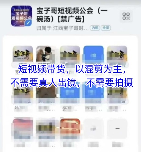 宝子哥头部团队短视频带货，以混剪为主，不需要真人出镜，不需要拍摄【更新11月】-黑马项目网