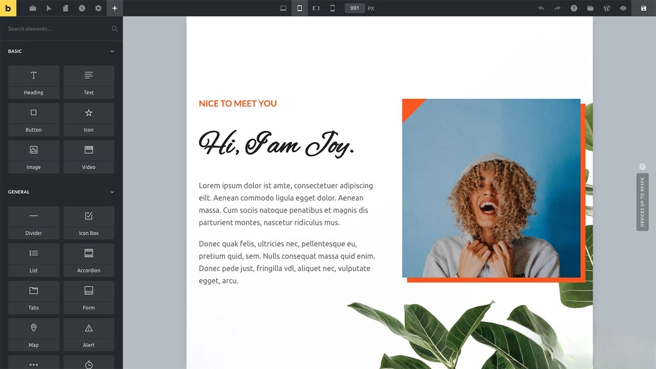 WordPress主题Bricks v1.9 破解版-黑马项目网
