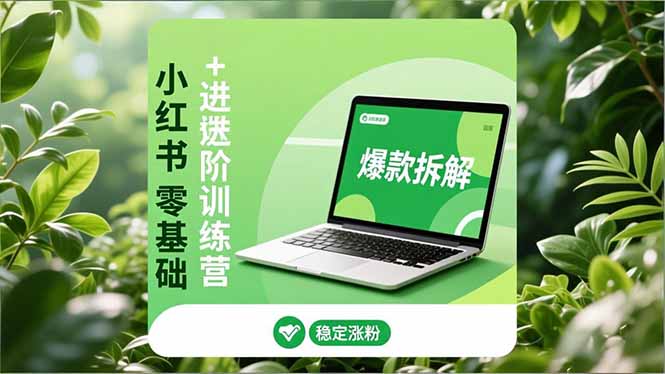 小红书零基础+高阶训练营：安全养号、爆款拆解、长效运营，实现稳定涨粉与变现-黑马项目网