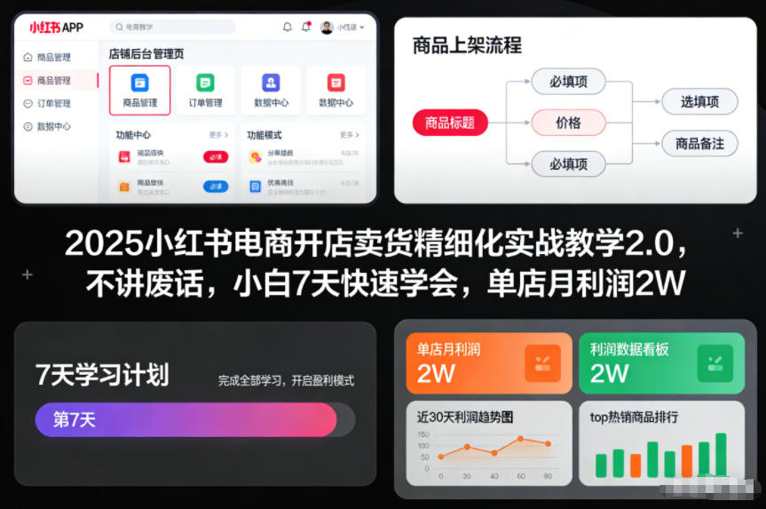 2025小红书电商开店卖货精细化实战教学2.0，不讲废话，小白7天快速学会，单店月利润2W-黑马项目网