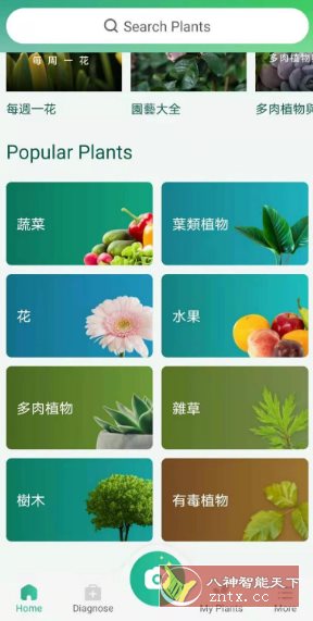 PictureThis 植物识别v5.25.0专业版-黑马项目网