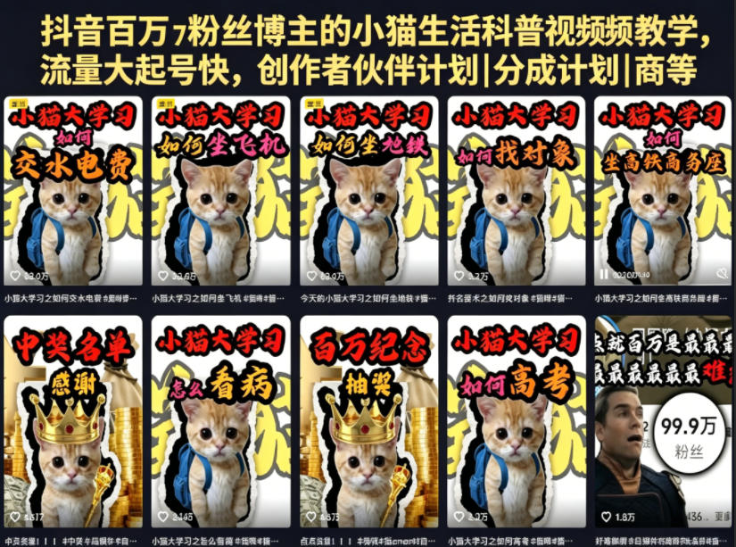 抖音百万粉丝博主的小猫生活科普视频教学，流量大起号快，创作者伙伴计划|分成计划|商单|收徒等-黑马项目网