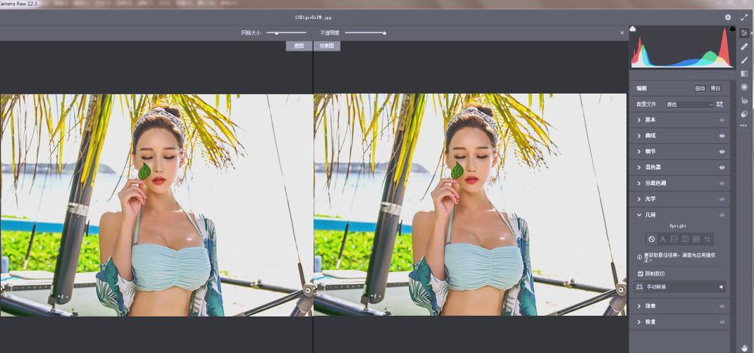 RAW处理Adobe Camera Raw v18.3.1中文版-黑马项目网
