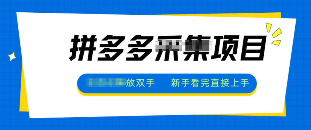 拼多多电商采集，一小时50+，操作简单，零投资-黑马项目网