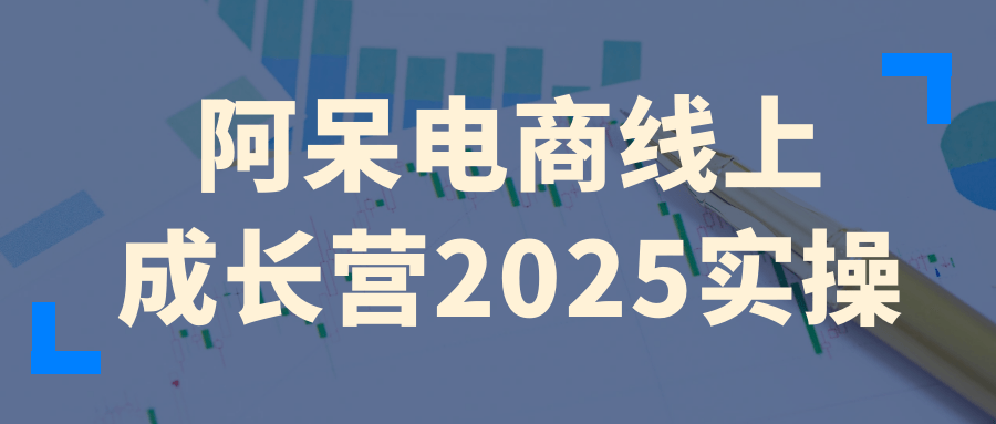 阿呆电商线上成长营2025实操-黑马项目网