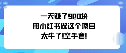 一天挣了9张用小红书做这个项目太牛了，空手套-黑马项目网