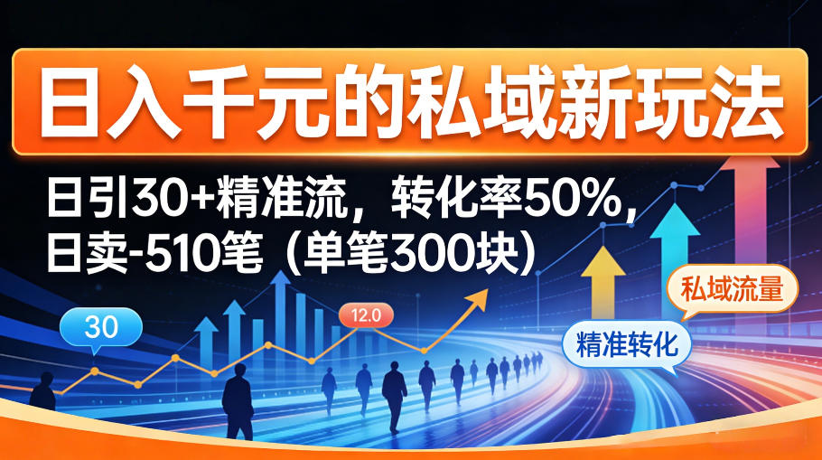 日入千米的私域新玩法：日引30＋精准流，转化率50%，日卖5-10笔(单笔300米)-黑马项目网