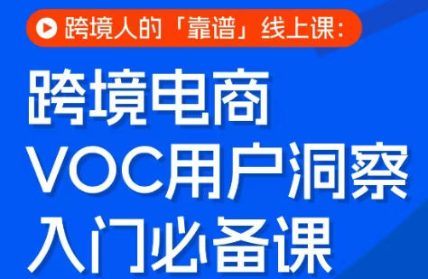 跨境电商VOC用户洞察入门必备课-黑马项目网