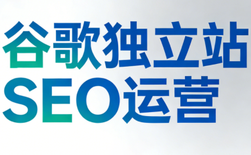 谷歌独立站SEO运营(更新2026)-黑马项目网