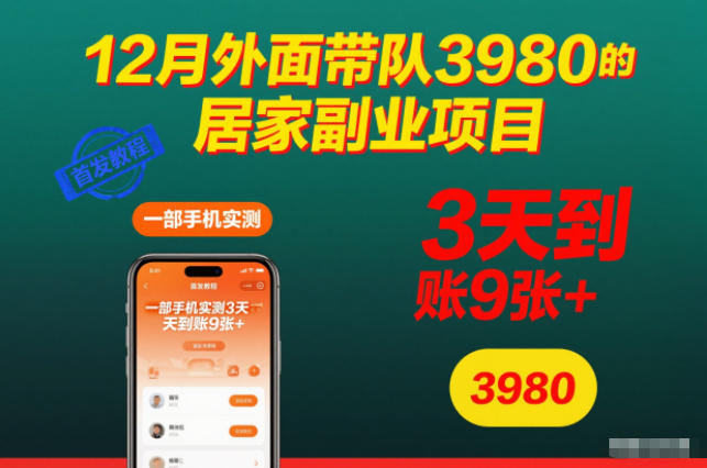 12月外面带队3980的居家副业项目，一部手机实测3天到账9张+，首发教程【揭秘】-黑马项目网