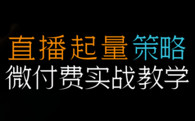 半野老师·直播带货起量与微付费必学课视频号-黑马项目网