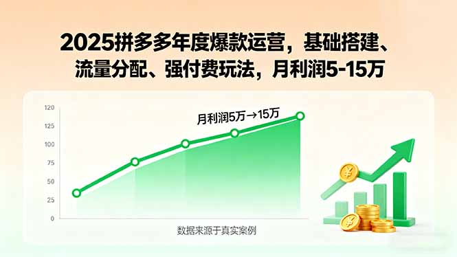 2025拼多多年度爆款运营，基础搭建、流量分配、强付费玩法，月利润5-15万-黑马项目网