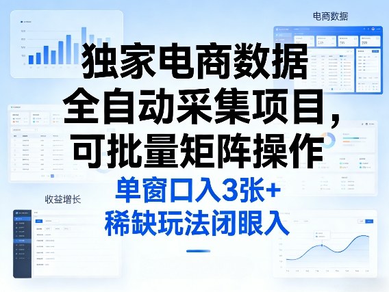 独家电商数据全自动采集项目，可批量矩阵操作，单窗口日入3张+，稀缺玩法闭眼入【揭秘】-黑马项目网