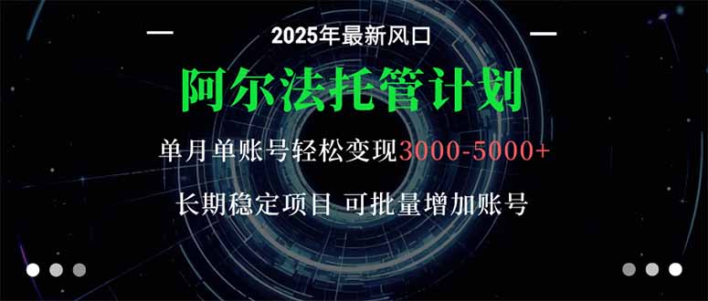 阿尔法托管计划 单账号月入3000-5000，长期稳定项目，新手小白轻松上手。-黑马项目网