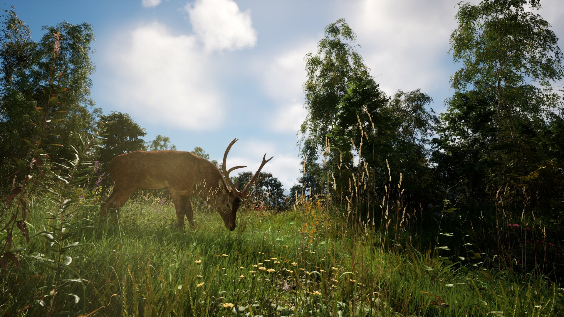 《恐惧地带》v1.3.9.1中文版--第6张图片