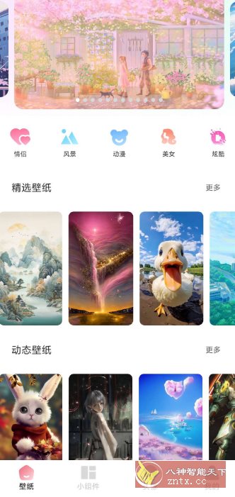 91熊猫桌面主题v1.0.6高级版-黑马项目网