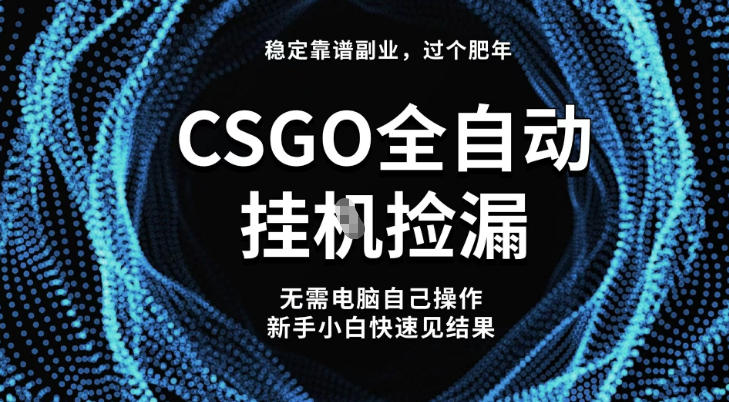 【稳定副业】全球最热门游戏CSGO全自动捡漏，最新玩法，新手小白日入5张+【揭秘】-黑马项目网