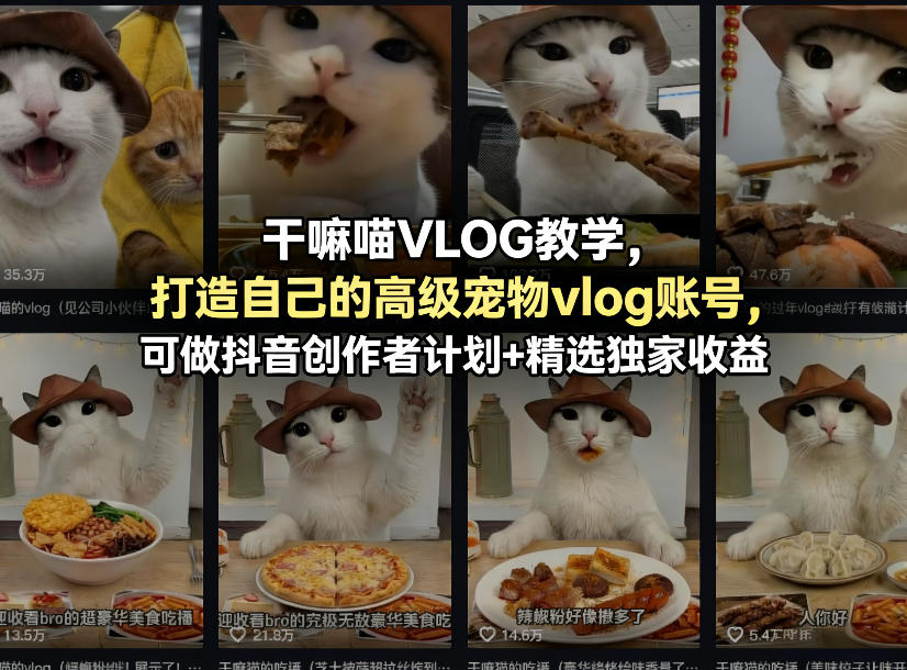 干嘛喵VLOG教学，打造自己的高级宠物vlog账号，可做抖音创作者计划+精选独家收益-黑马项目网