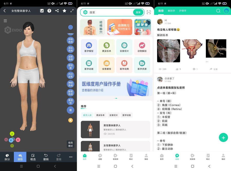 医维度解剖3.3.21一键解刨｜医学知识｜一键脱衣等-黑马项目网