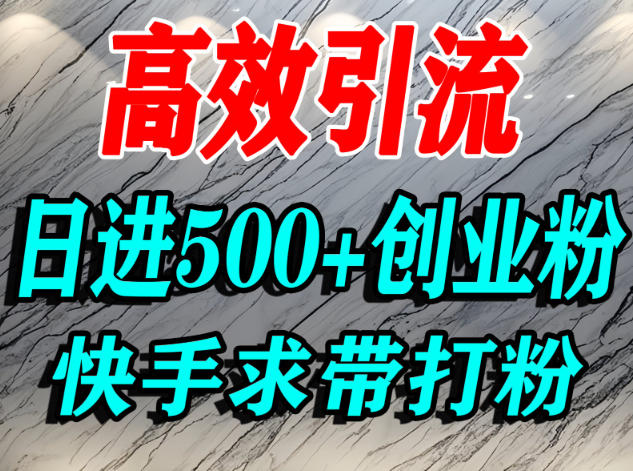 怎么打创业粉？快手求带视角精准引流创业粉，宝妈、学生群体日进500+精准流量-黑马项目网