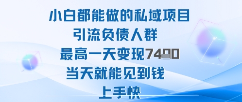 2025年小白都能做的私域项目引流负债人群最高一天变现1k+高变现难度低当天就能见到钱上手快-黑马项目网