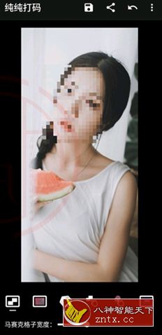 纯纯打码v4.10.2高级版-黑马项目网