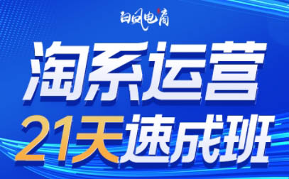白凤电商·淘系运营21天速成班(更新4月)-黑马项目网