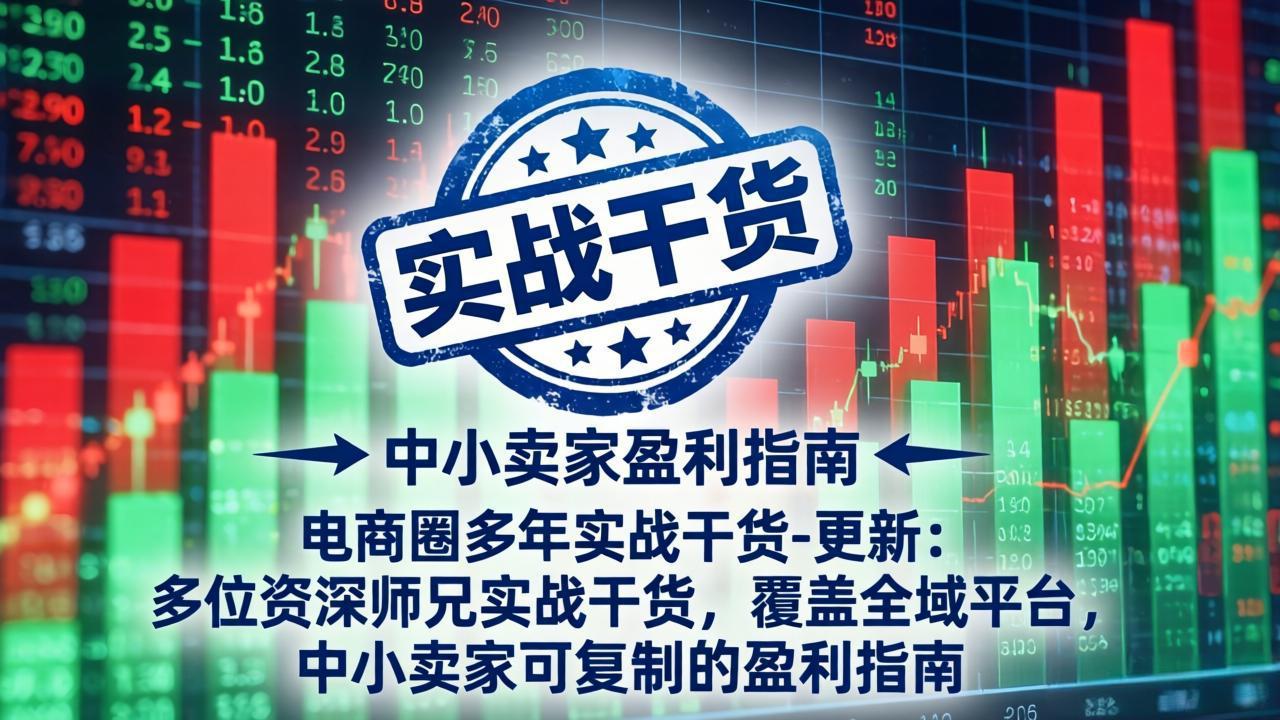 电商圈多年实战干货-更新4月：多位资深师兄实战干货，覆盖全域平台，中小卖家可复制的盈利指南-黑马项目网