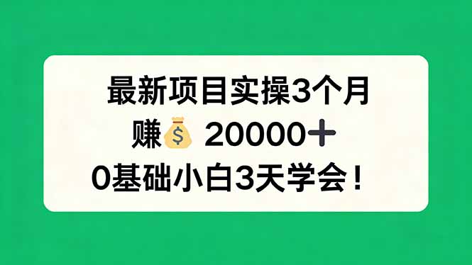 最新项目实操3个月，赚钱20000+，0基础小白3天学会！-黑马项目网