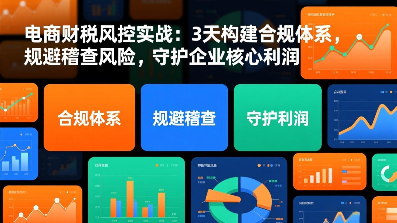 电商财税风控实战：3天构建合规体系，规避稽查风险，守护企业核心利润-黑马项目网