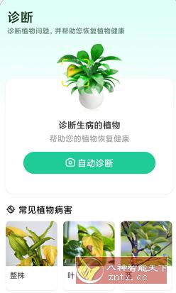 Plant Parent 植物养护v1.105高级版-黑马项目网